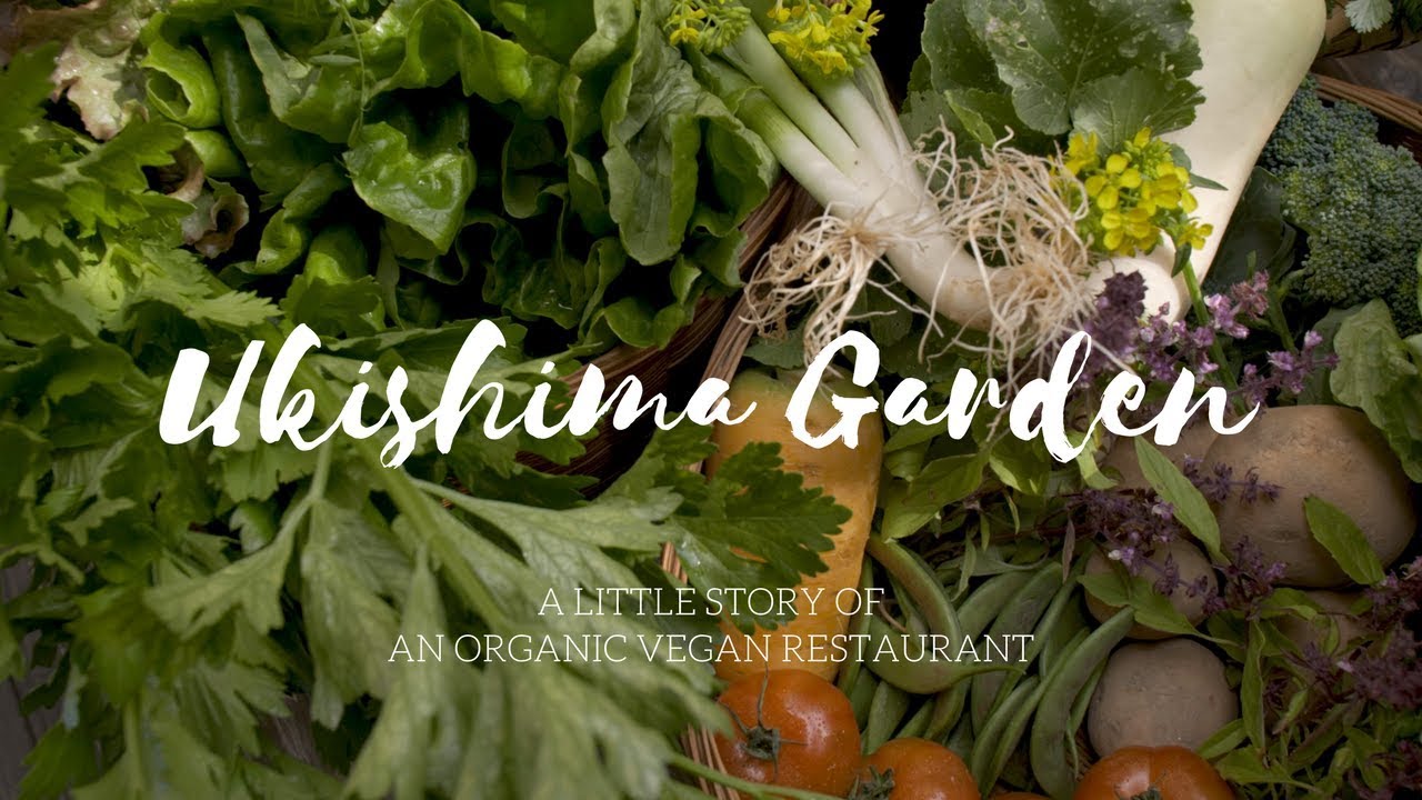 a Little Story of an Organic Vegan Restaurant
