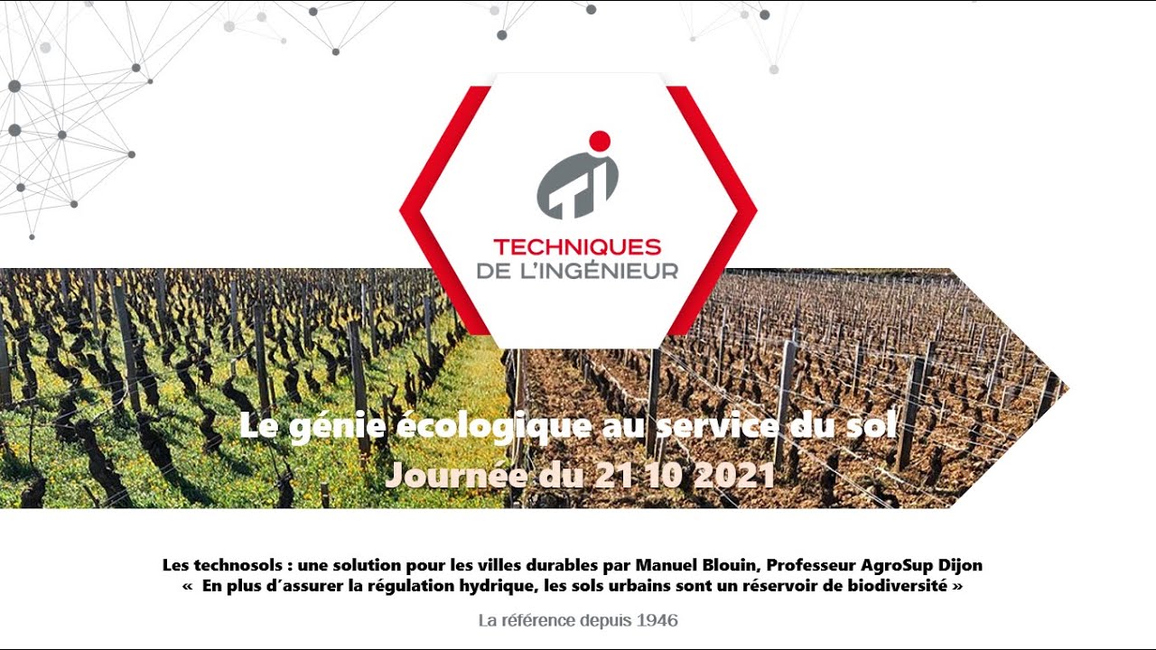 Les technosols : une solution pour les villes durables