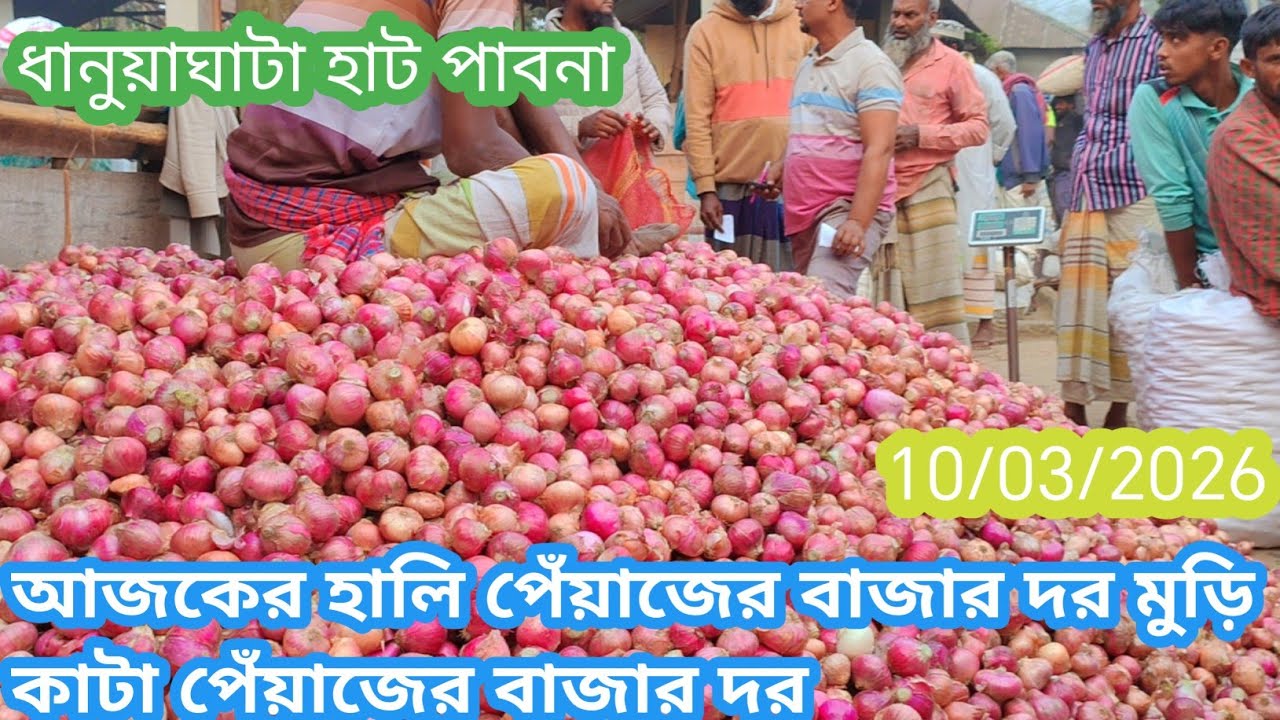 10 March 2026 আজকের নতুন পুরাতন পেঁয়াজের বাজার দর। Onion market price rate today in pabna Banglades