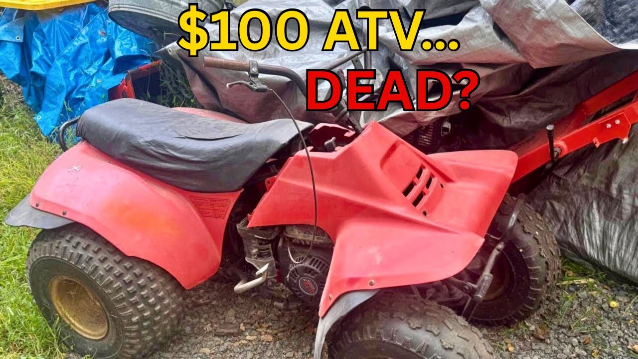 Suzuki LT125 QuadRunner Barn Find: Will It Ever Start Again? Part 1