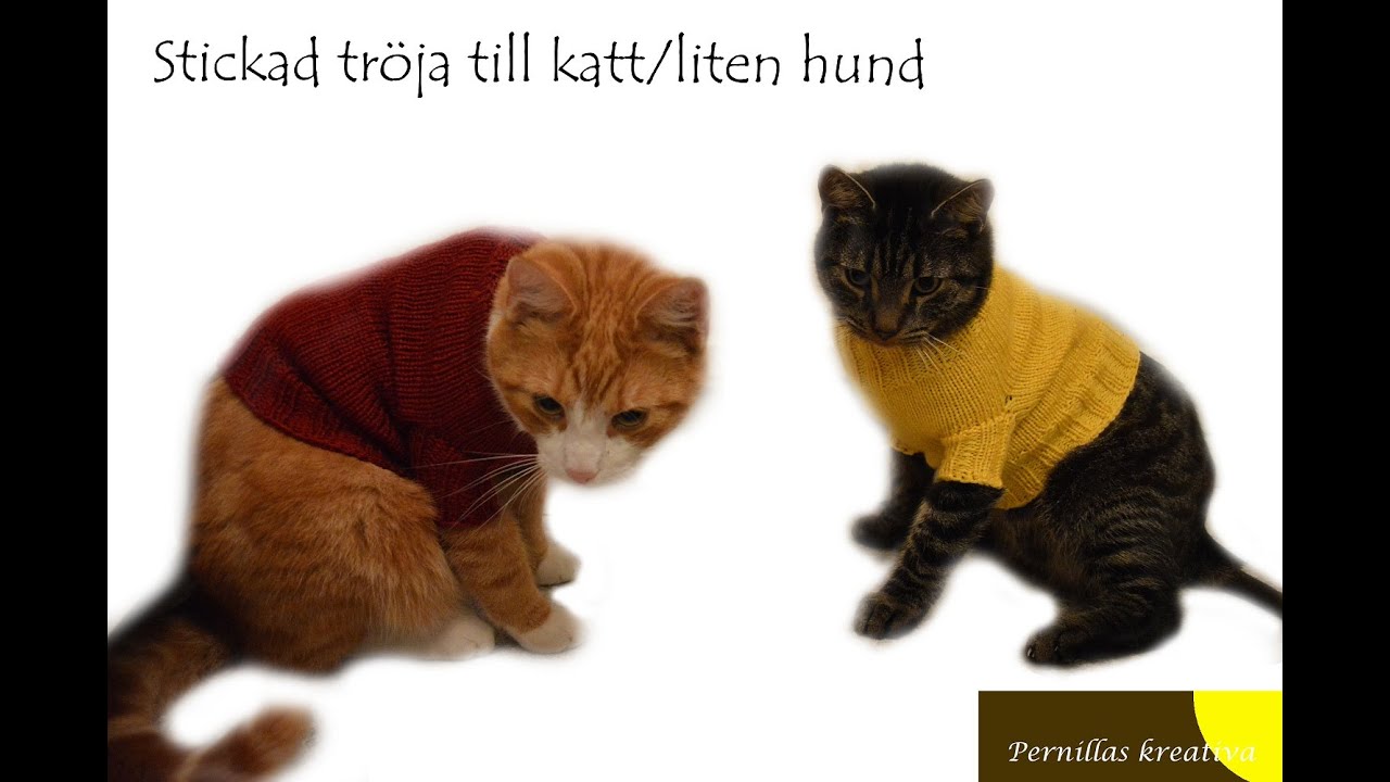 Del 1/5.  Stickad tröja till katt/liten hund : Lägg upp maskor och börja sticka resår