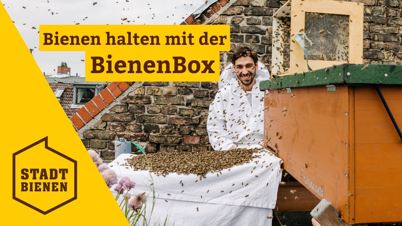 Gib Bienen ein Zuhause &ndash; mit der BienenBox von Stadtbienen