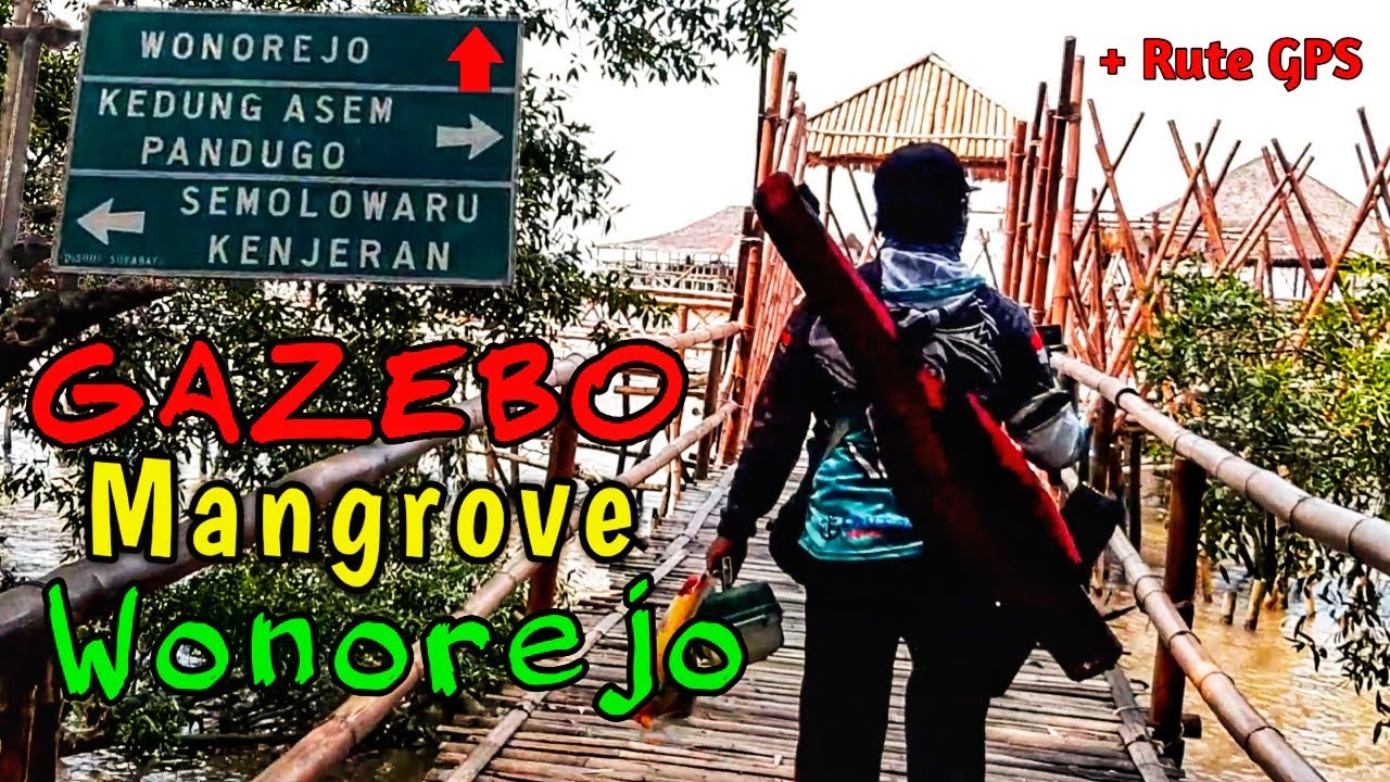 Rute Jalan Menuju Mangrove Wonorejo Surabaya || Spot Mancing Dan Ekowisata Mangrove Gazebo