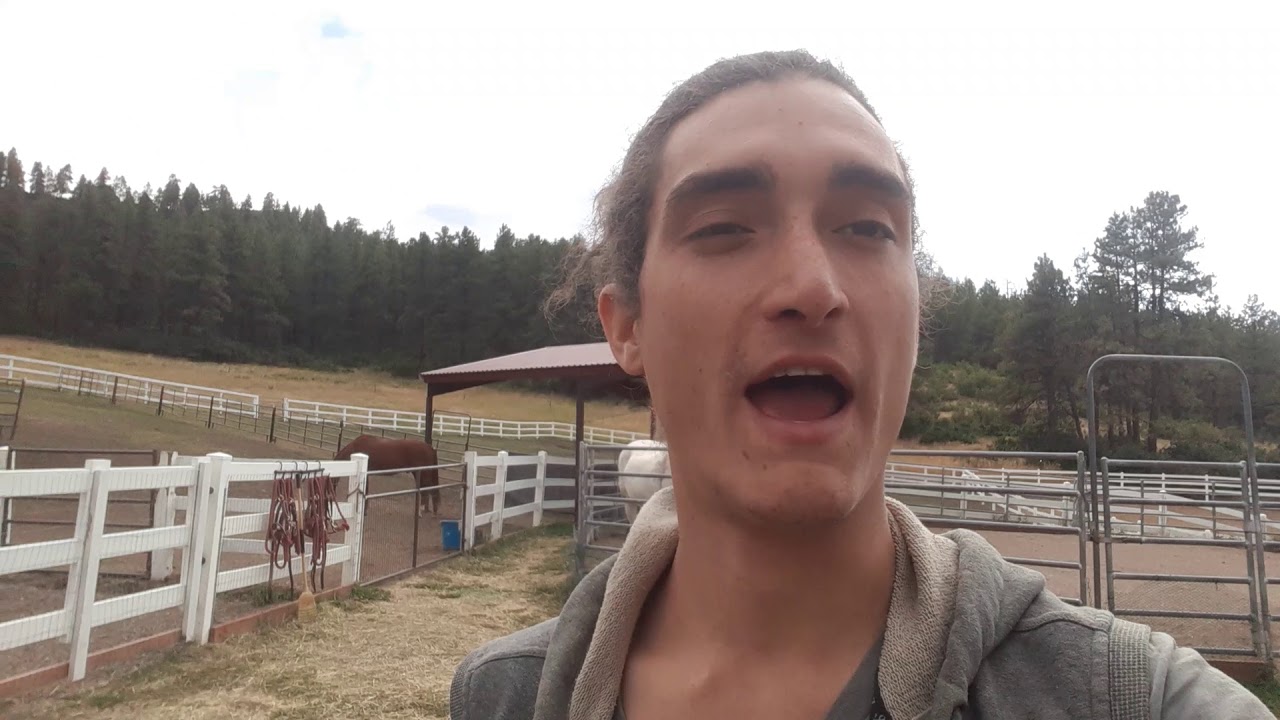 Vlog # 14 Weekend Address