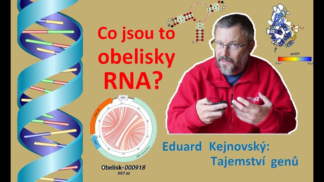 Co jsou to RNA obelisky? (Tajemství genů N74)
