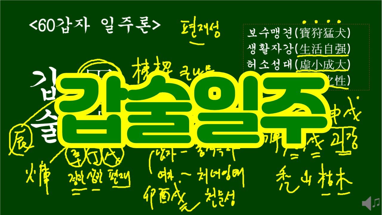 갑술일주