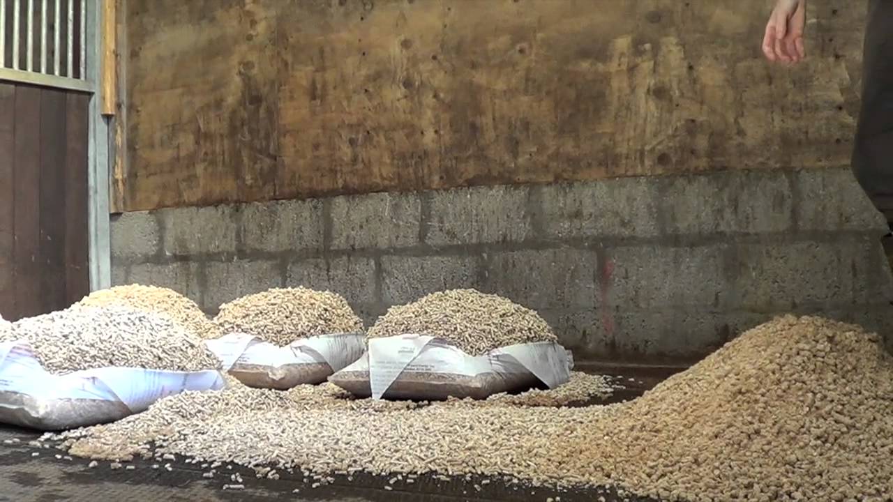 Sorbeo - Making the bed