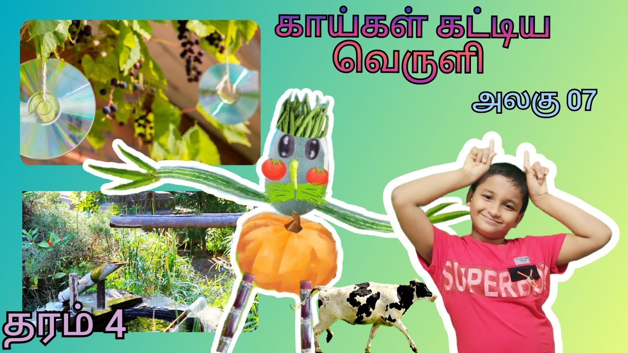 காய்கள் கட்டிய வெருளி | Grade 4 - Unit 7| Song - Tamil | 'நீர்ப் பிசாசு'| Amhar Talkies