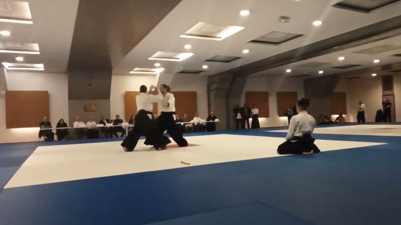 Démonstration aïkido - Kagami Biraki 2023 - François Pichereau 5 ème dan