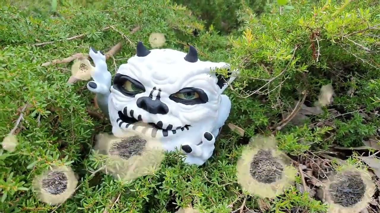 Boglin Hunt Down Under!