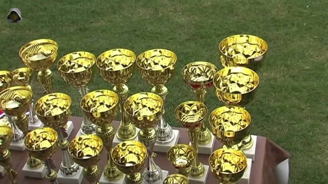 Fijakerijada  2016 Banatsko Novo Selo