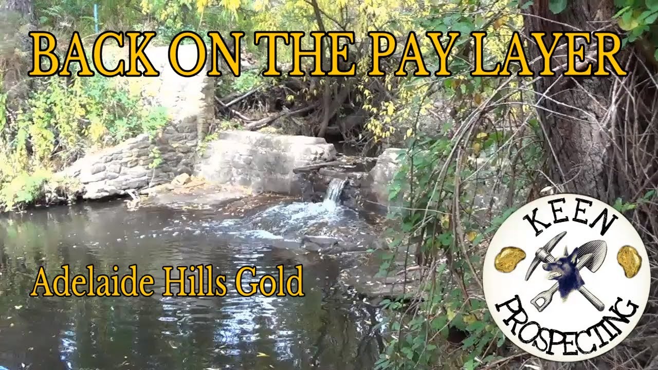 Back On The Pay Layer Adelaide Hills gold