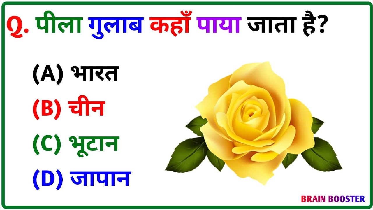 GK Question || GK In Hindi || GK Question and Answer || GK Quiz || Brain Booster ||