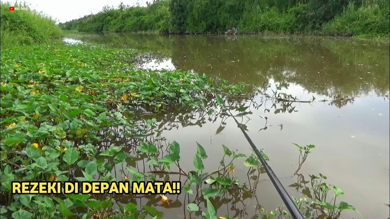 Surga Tersembunyi Spot Liar Tak Terjamah! Ikan Gede-Gede Semua!