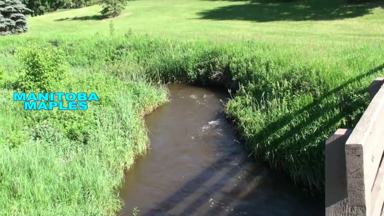 GLENBOW PARK BEFORE 7 AFTER