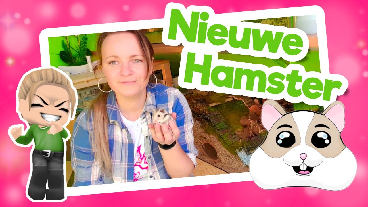 🐹 Nieuwe bewoner | Syrische Hamster