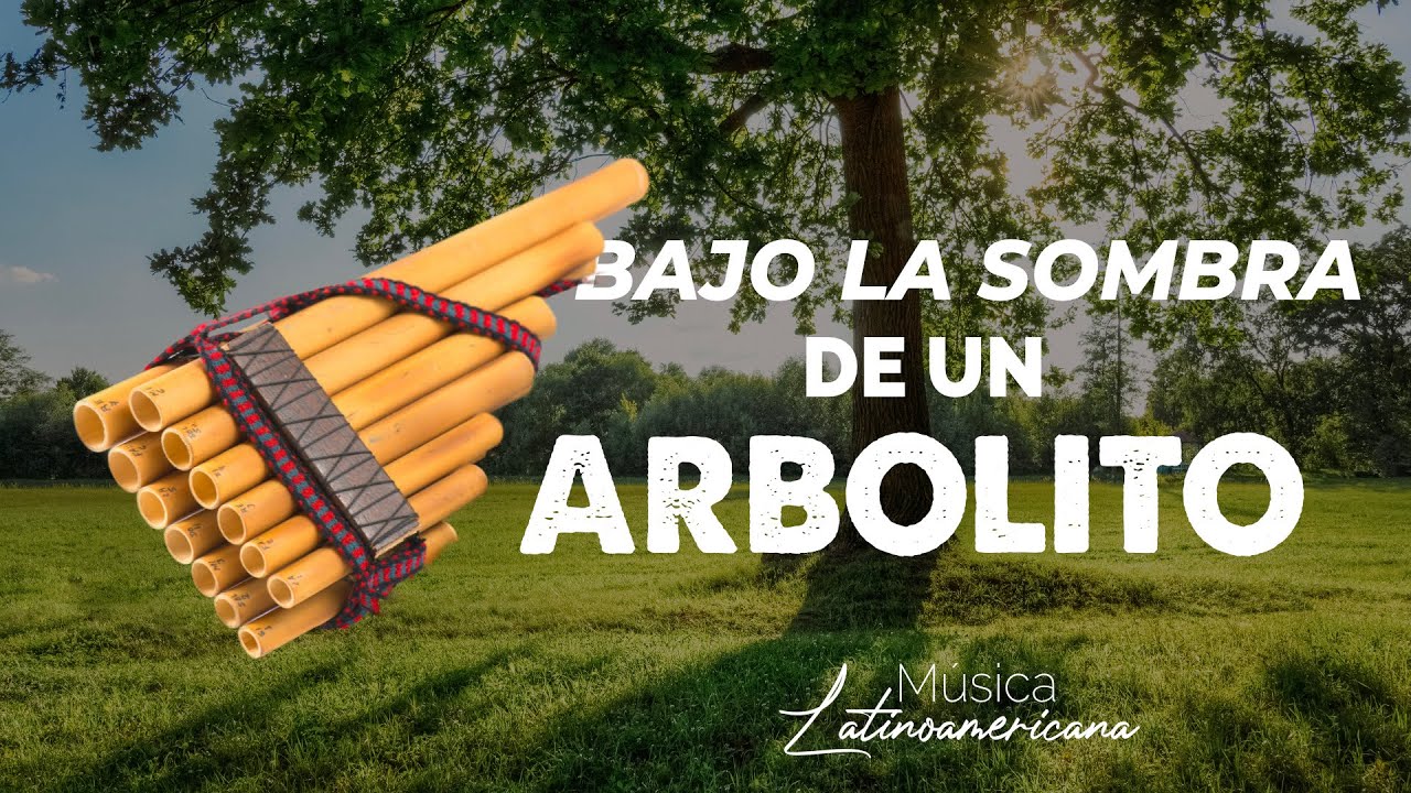 Bajo la sombra de un arbolito  | By: Kerigma Canta