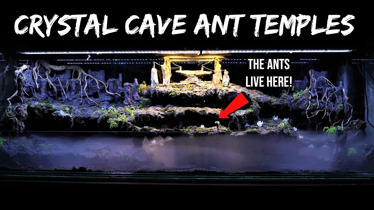 I Created a CRYSTAL CAVE TEMPLE Terrarium for My Ants