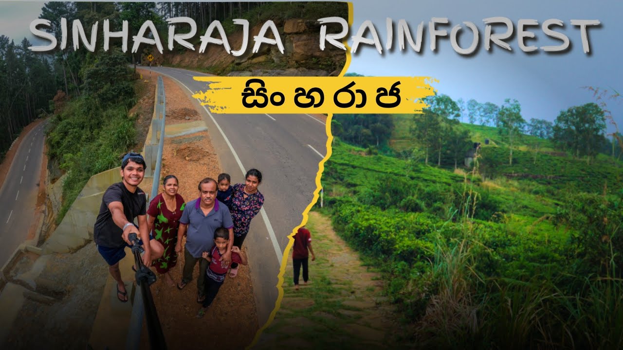 වංගු 10 හරහා සිංහරාජ ආරණ්‍ය සේනාසනයට 🍃🤍 | Sinharaja rainforest🌨️ | 10 Bends 🏍️ | 4K