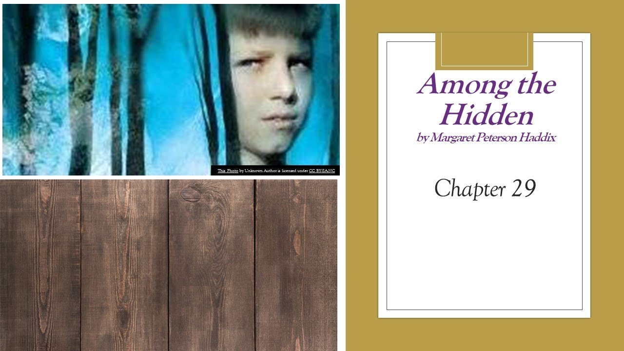 Among the Hidden by Margaret Peterson Haddix - Chapter 29