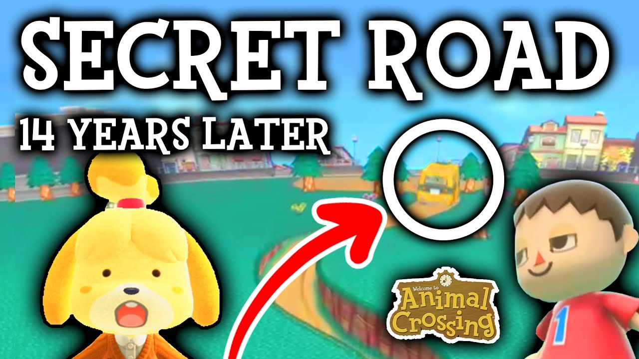 You've Never Seen This Road in Animal Crossing