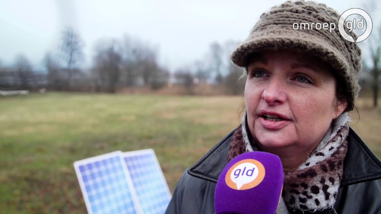 Hoe onderhoud je het gras van een zonnepanelenpark?