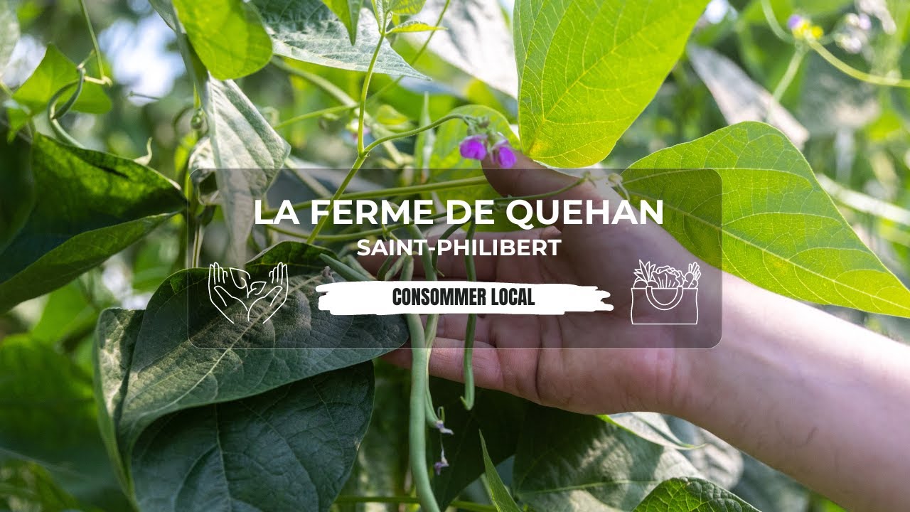 La Ferme de Quéhan - Saint-Philibert, Morbihan