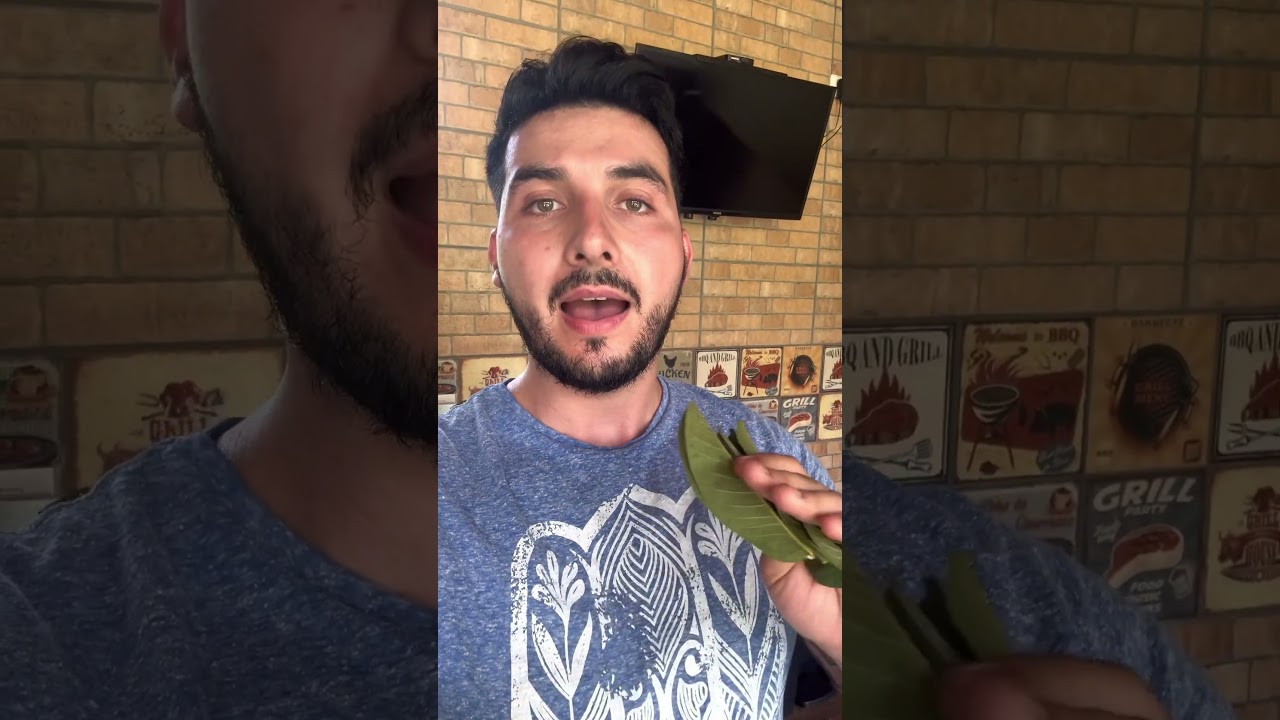 APENAS 8 FOLHAS CURA PEITO SECO, PERNA BAMBA E DIARR&Eacute;IA NA CRIA&Ccedil;&Atilde;O!