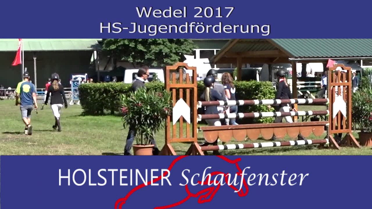Wedel 2017
