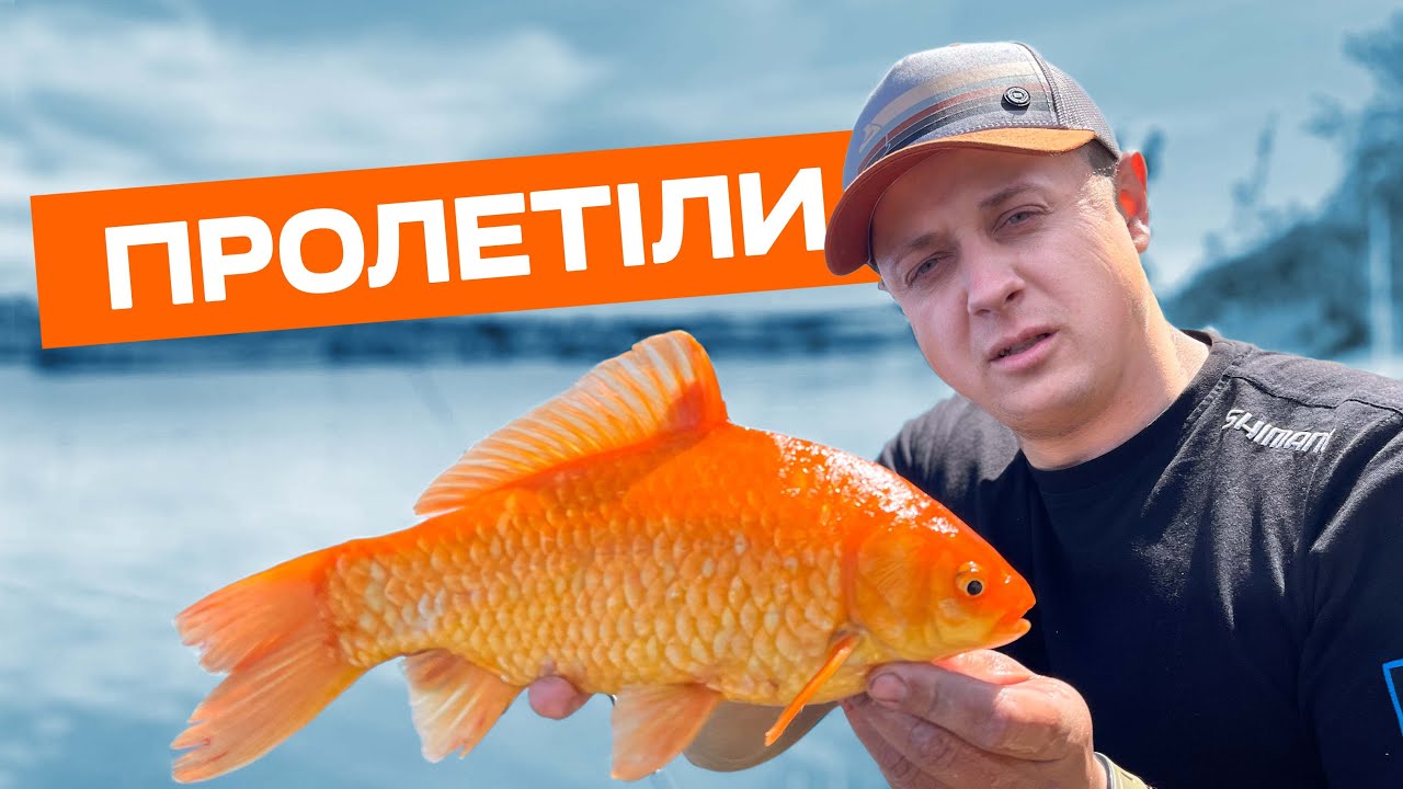 ПРОБЛЕМИ НА ЧЕМПІОНАТІ СВІТУ З РИБОЛОВЛІ