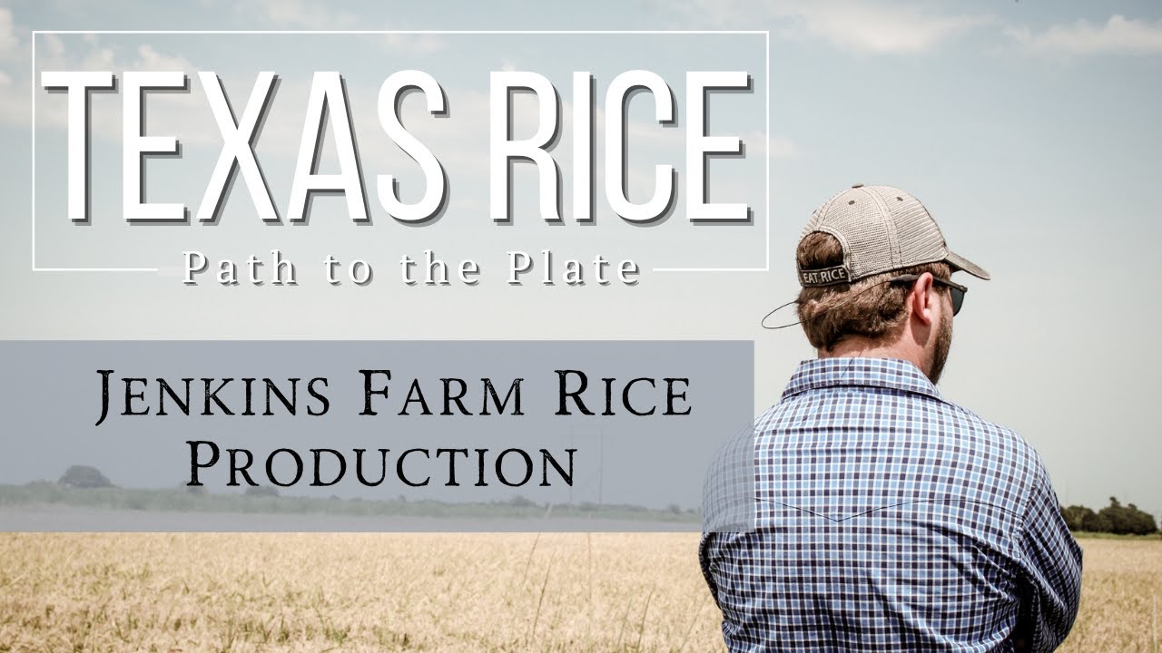 Jenkins Farm Rice Production