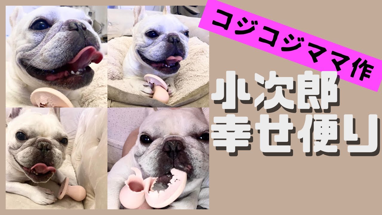 【ママから届いた幸せの手紙】あなたが笑ってるから私も笑っちゃう。いやいや私もですよ。笑うと福が来るんです