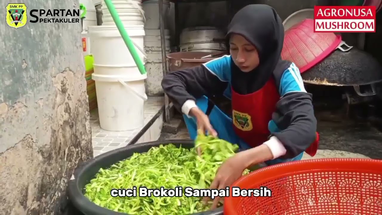 Dokumentasi selama melaksanakan kegiatan PKL di Agronusa Mushroom