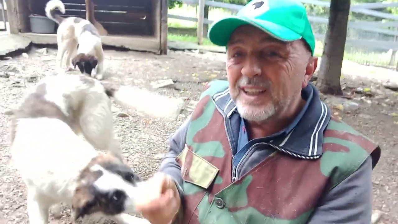 Video 6 - È vero che i Cani da Guardia in giardino rischiano di essere feriti o uccisi dai ladri?