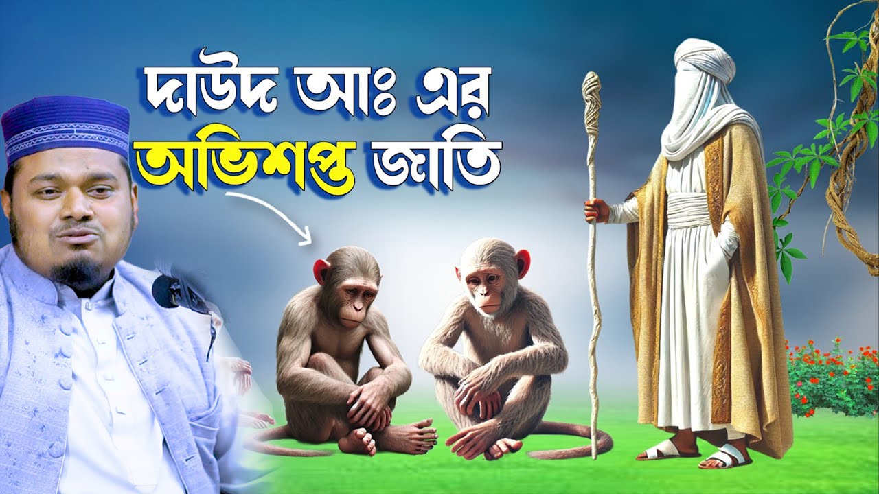 হযরত দাউদ (আ.) এর জীবনী । মাওলানা মুফতি মামুনুর রশিদ মামুন ওয়াজ ।। Mamunur Rashid Waz