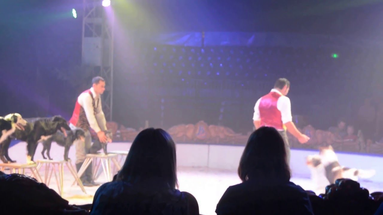 nicolas bouglione mons02 2015