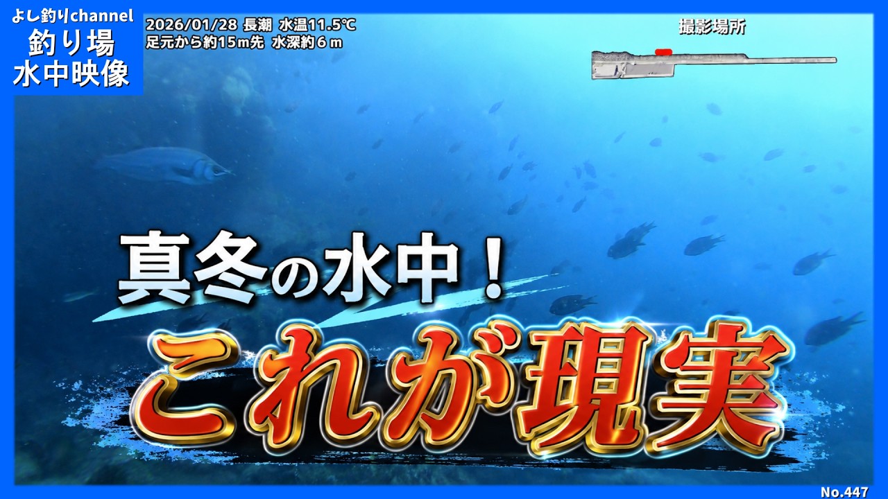 真冬の海の中はこうなっていた…｜加太大波止テトラの水中映像【和歌山の釣り場】No.447