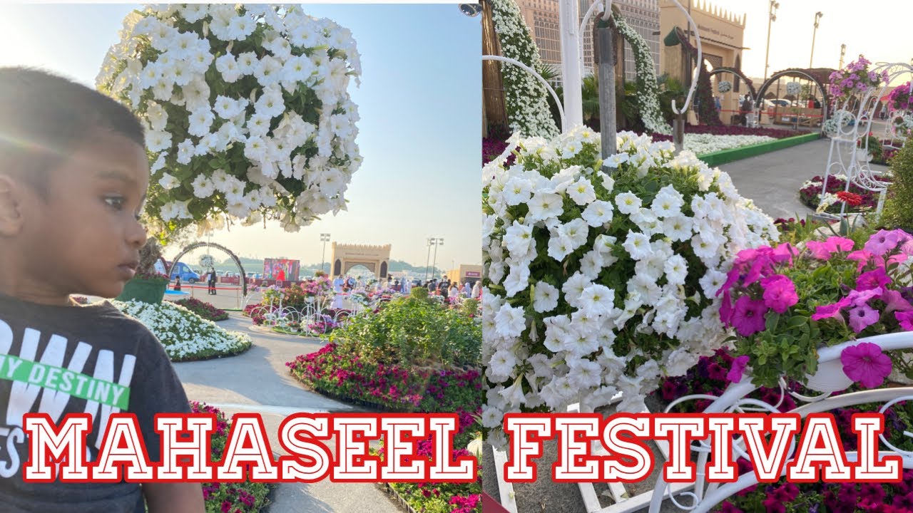 5th Mahaseel Festival at Katara Cultural Village, Qatar