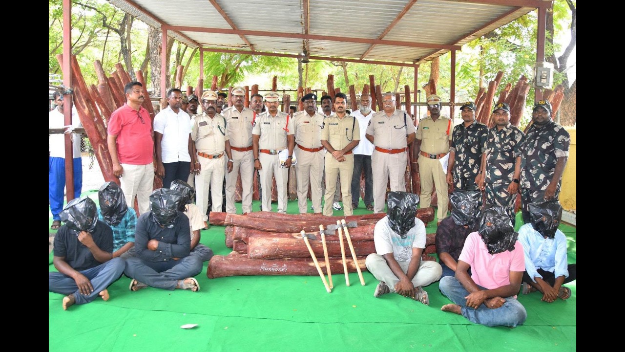 Kadapa Police Big Operation | 8 Red Sanders Smugglers Arrested | ₹1.30 Crore Worth Seized