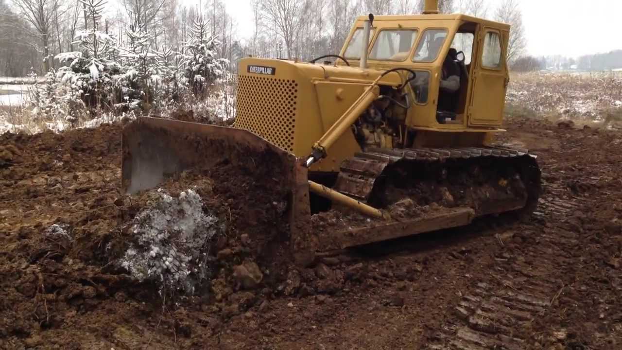 T 100 MGP and  the stump