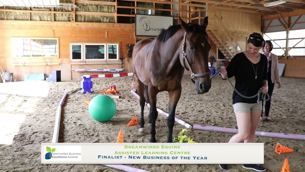 Dreamwinds Equine Assisted Learning Centre