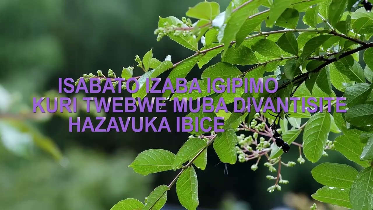 IMINSI Y'IMPAKA BY URUMURI RWA KRISTO KAJEVUBA SDA CHURCH