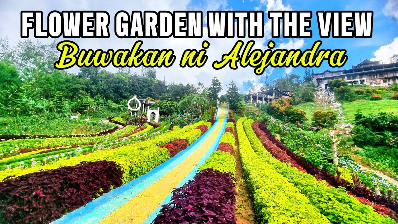 THE FLOWER GARDEN IN CEBU MOUNTAINS, Buwakan ni Alejandra. BALAMBAN CEBU, WALKING TOUR