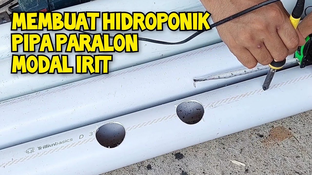 Cara Membuat Tempat Menanam Hidroponik Dari Pipa Paralon PVC