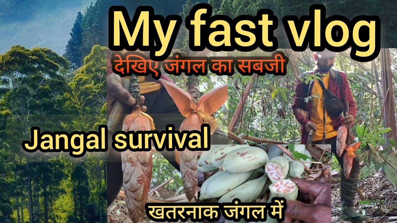 My fast vlog jangal survival ka video//#survival #jangal #viral #deshi #vlog #Village. 