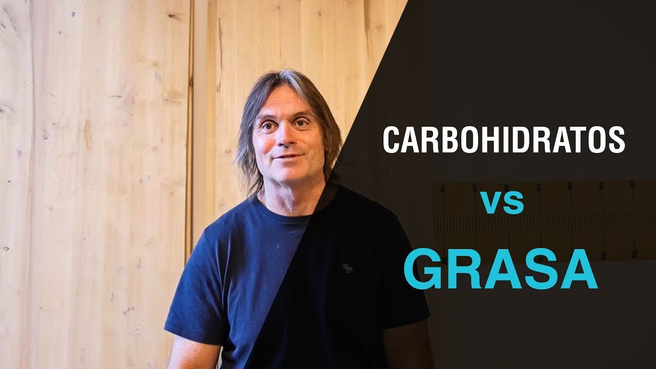 Carbohidratos vs Grasa