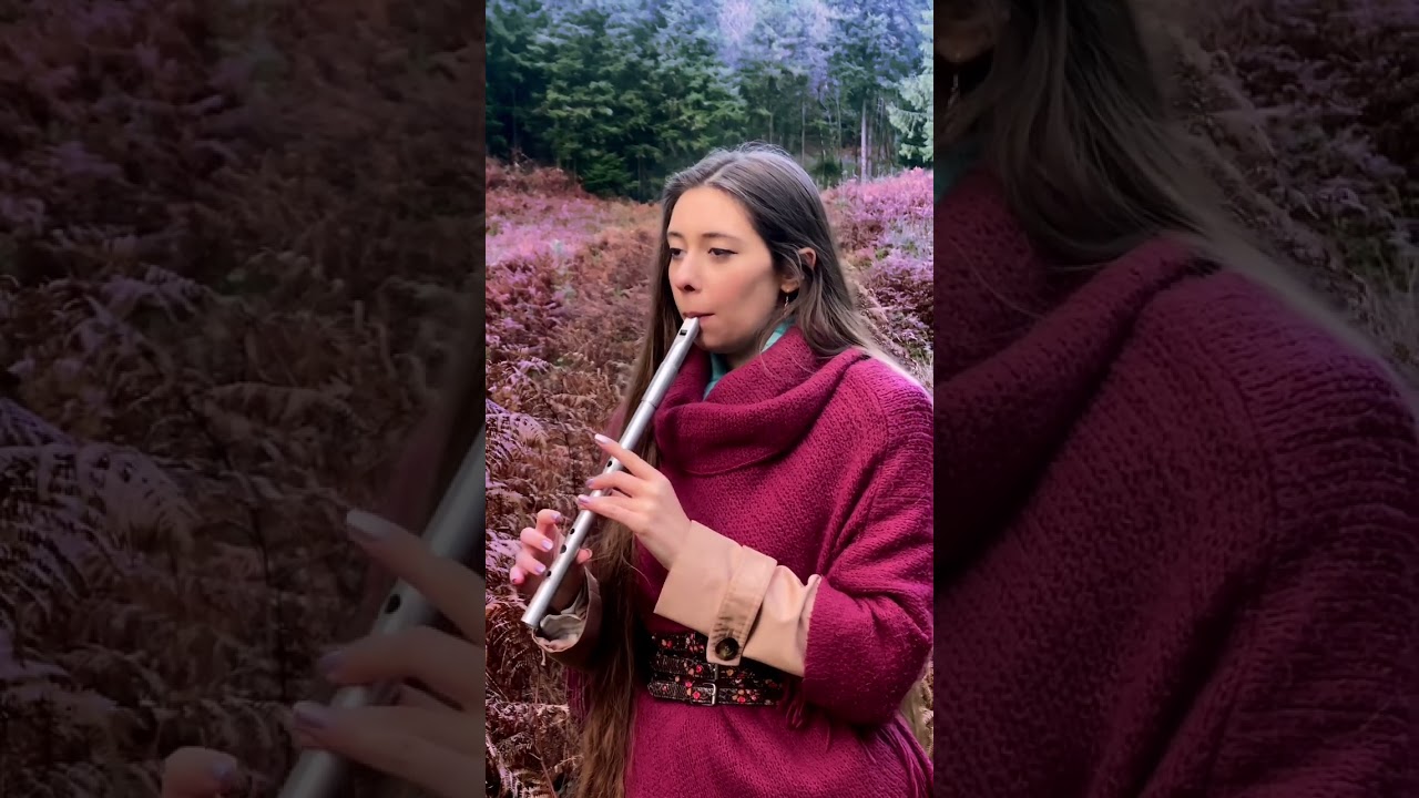 A Narnia Lullaby ❄️🌲 #tinwhistle #shorts