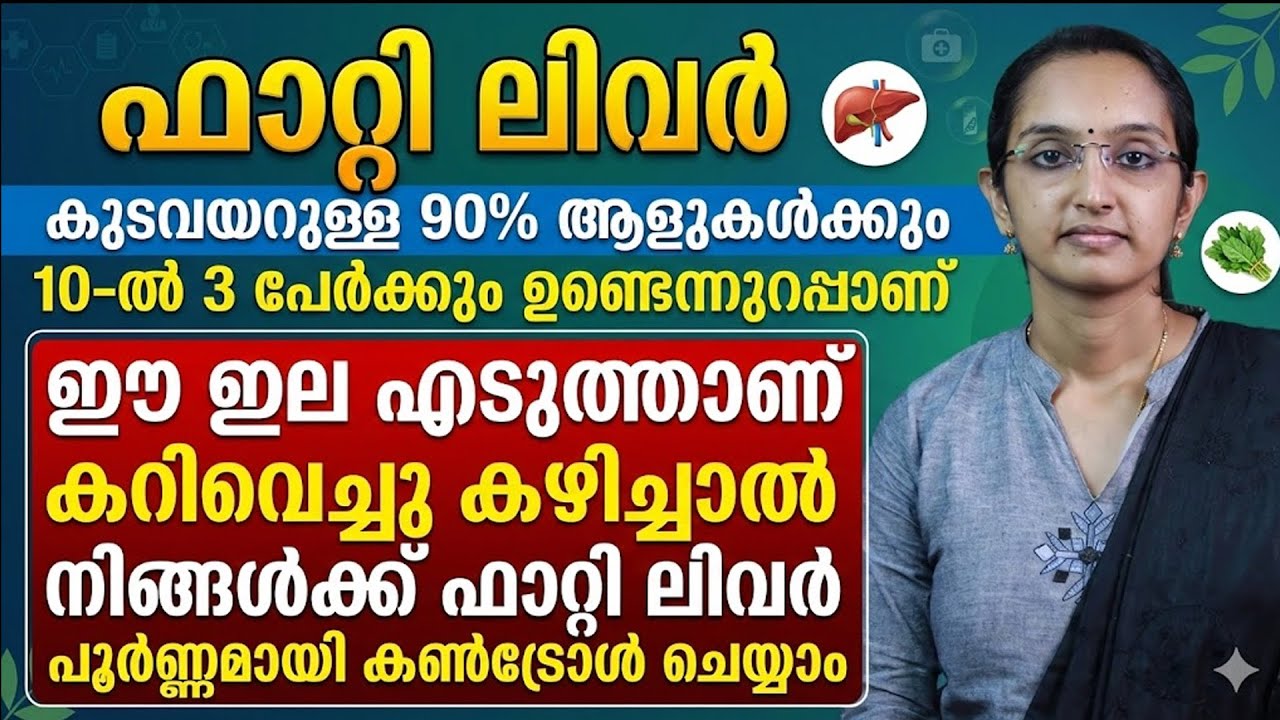 കൈകൊണ്ടുള്ള ഈ എക്സസൈസും ഈ ഇലകൾ ദിവസം ഒരു തവണ കറി വെച്ചു കഴിച്ചാലും ഫാറ്റി ലിവർ നോർമലക്കാം