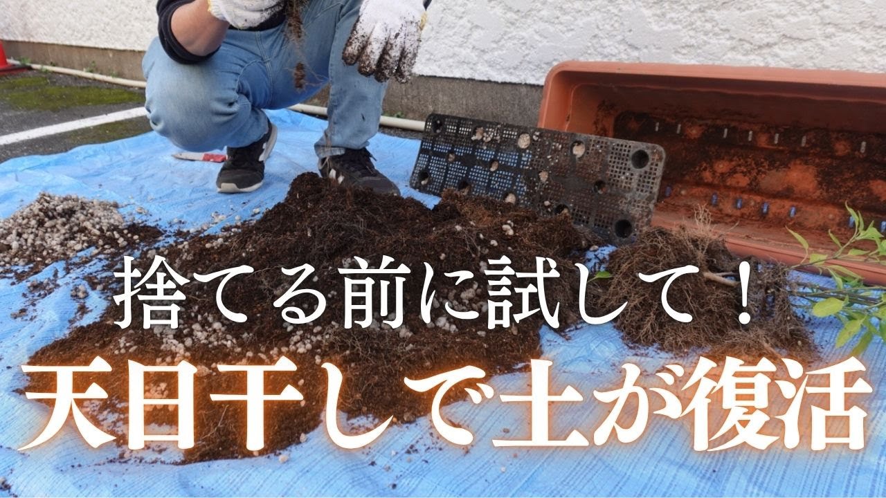 【再利用】おうちでできる土の再生法｜天日干しで育む、循環する暮らし☀️