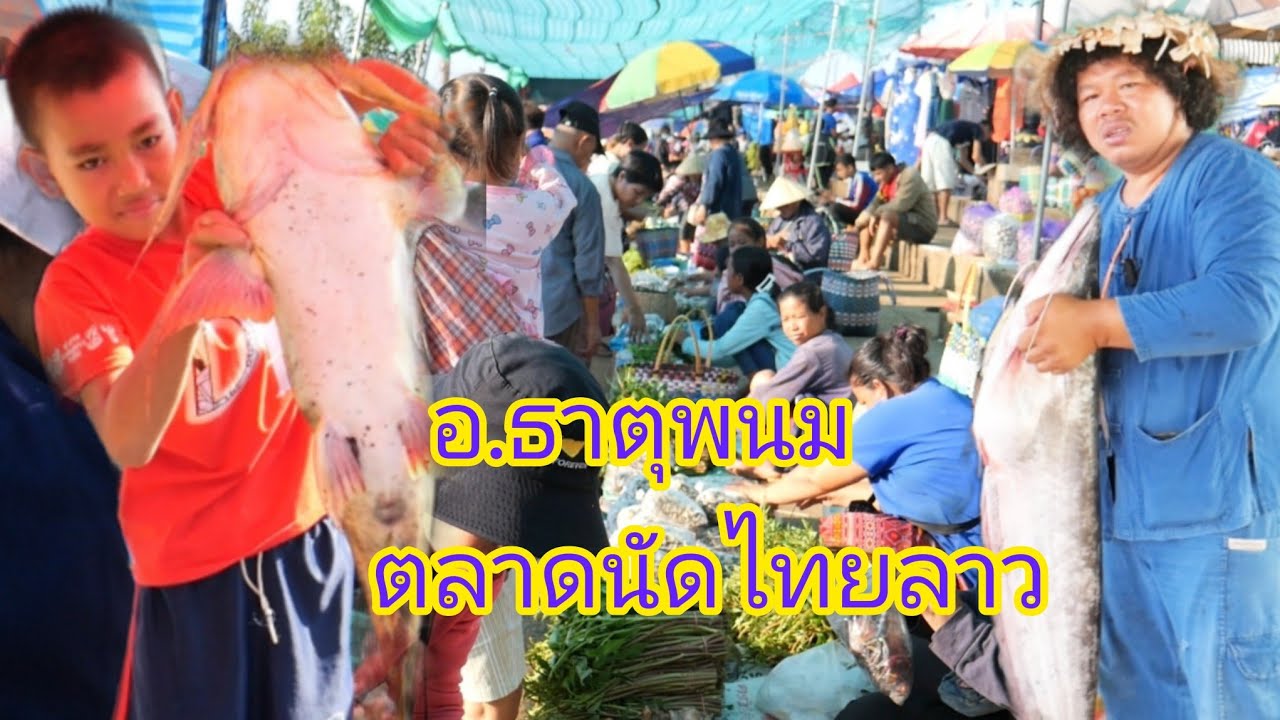 คนเยอะมาก! แม่ค้าเยอะมาก! ปลาสดใหม่จากแม่น้ำโขง แม่ค้าฝั่งลาวสวยๆ ตลาดนัดไทย-ลาวอ.ธาตุพนม จ.นครพนม